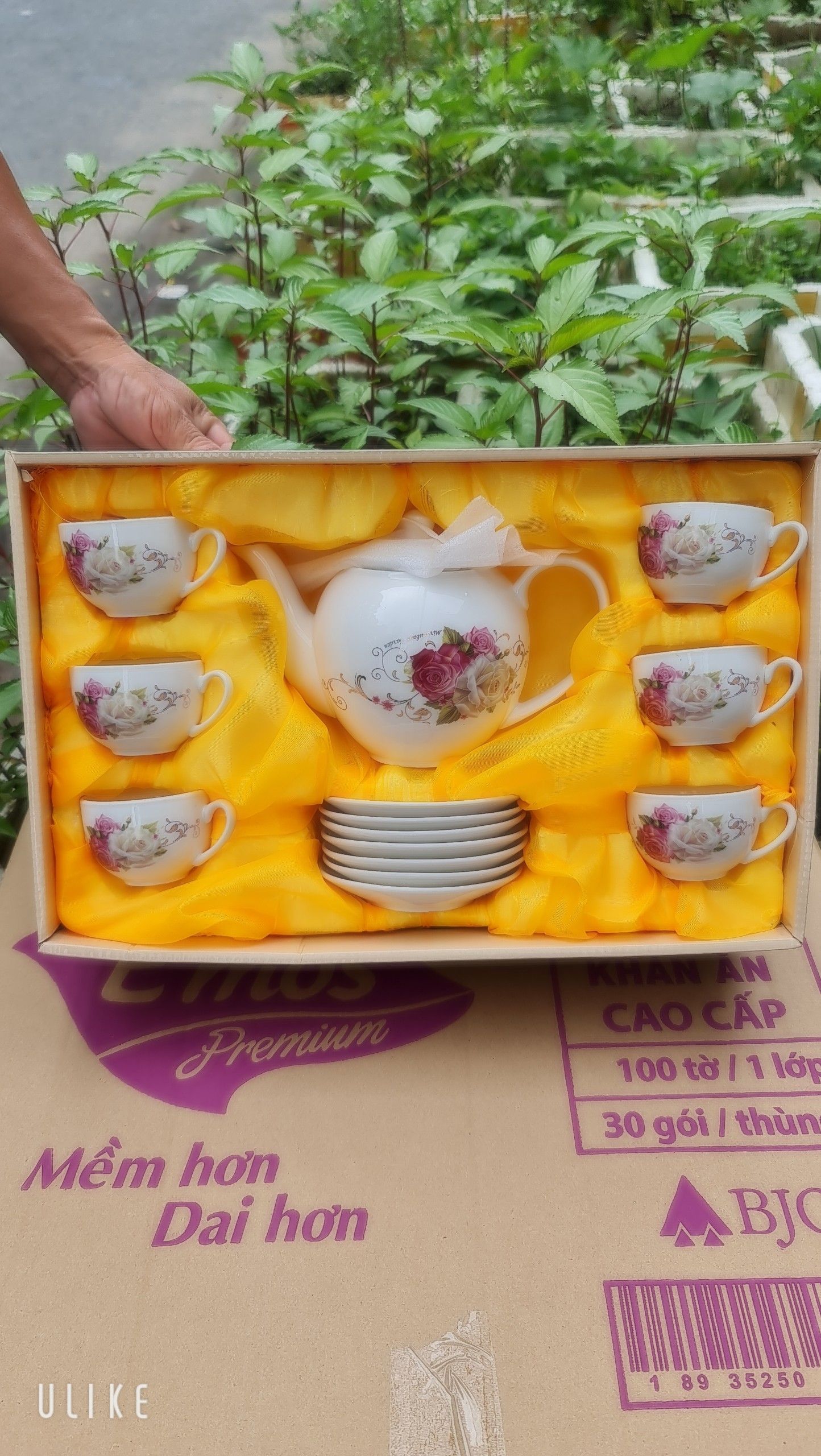 BỘ TÁCH TRÀ CAMELIA sứ Hàn Quốc